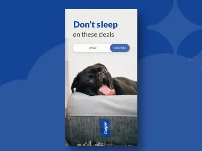 Subscribe 026 casper daily daily ui 026 dailyui dailyui026 dog dontsleep email mobile principle principle app pug puppy signup sleep subscribe subscription unsplash yawn