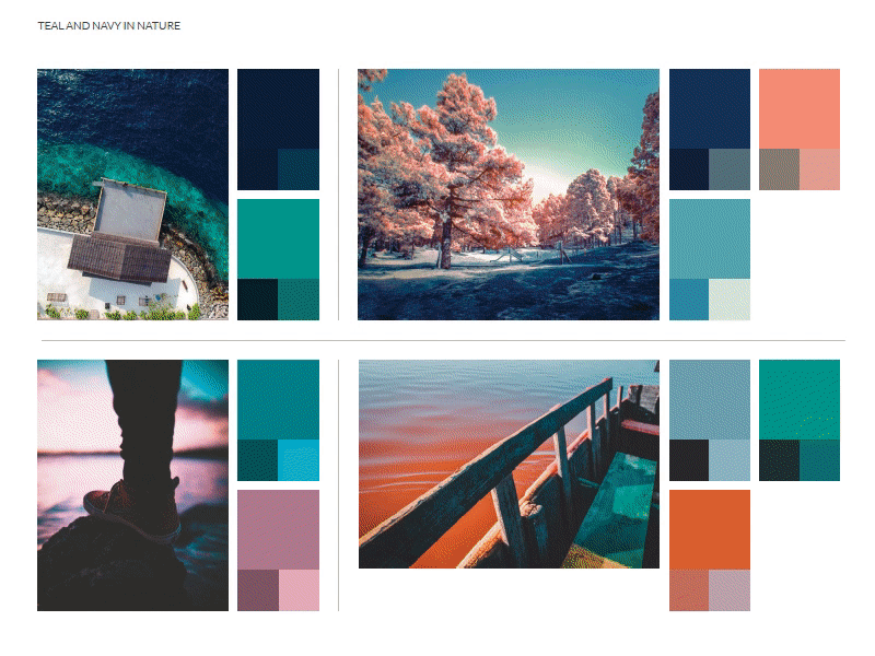 Color Palette Exploration branding cmyk color colorpalette colorscheme corporatebranding exploration indesign photoshop rgb