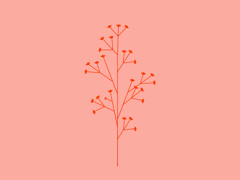 Spring flowers gif illustration march spring