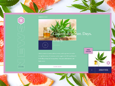 Clear Bright Days Landing cbd cbd oil download ebook landing page one page site uiue web web design