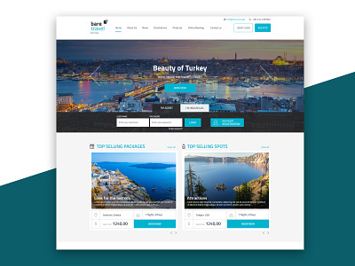 Travel Website b2b b2c banner design design logo travel travel agent ui uidesign ux web design website website banner