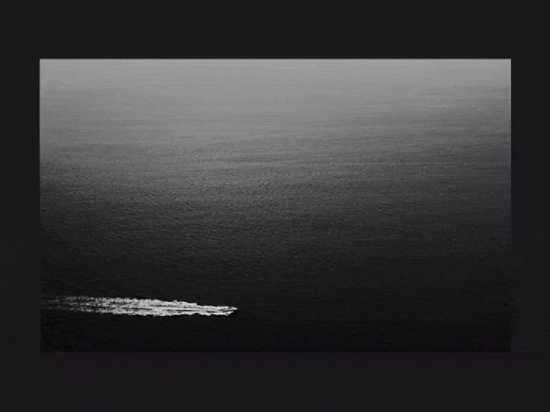Safia Habila Portfolio Animation animation clean design typography ui web web design website