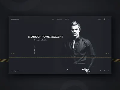 Capo Carisma black brown clean clear design minimal ui ux web white