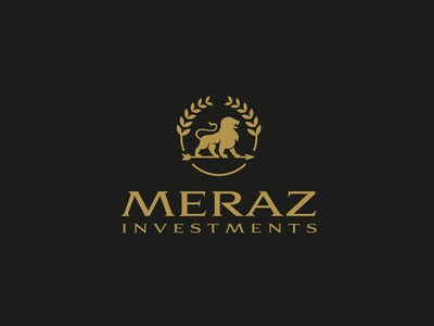 Investment Company Branding brand brand identity branding design investment brand logo design