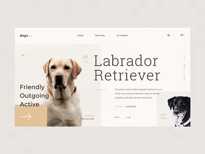 #42 Shots for Practice animal clean concept design dog dogs flat friend friends homepage modern pet pets puppy slider typo ui ux webpage website