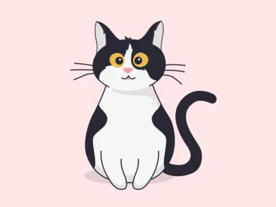 Clever Cat cat clever