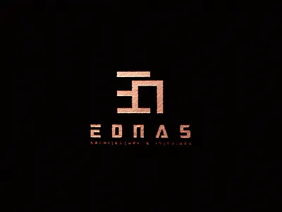 EDNAS branding design logo
