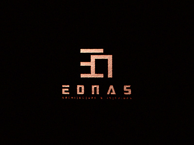 EDNAS branding design logo