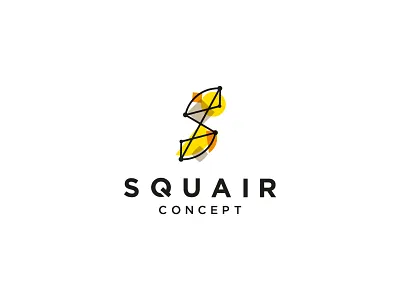 Squair branding design logo typography vector