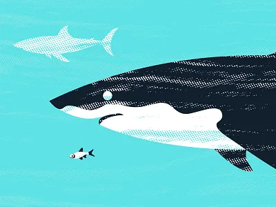 Shark blue ocean cool great white great white sharks illustration illustrator minimal monochromatic ocean ocean blue playful shark sharks textures vector wildlife