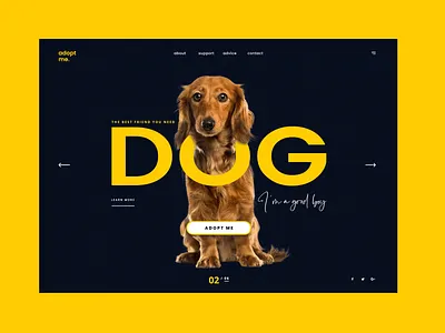 adopt me landing page design adopt animal branding cat clean design dog landing design landing page new york simple typography ui ui design ux ux ui ux design web design