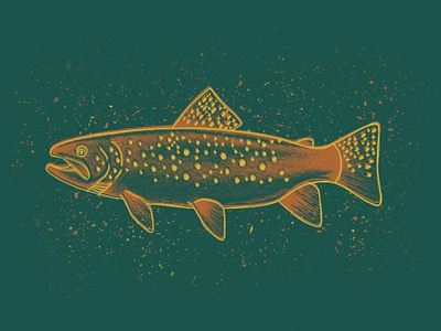 Trout Illustration design illustration trout