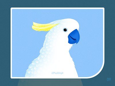 Parrot illustration