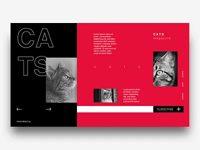 Cats cat magazine ui. ux design web website