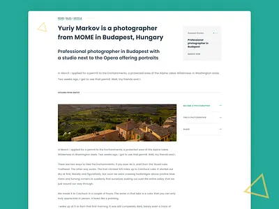 Daily Ui Challenge #035 - Blog Post article blog blog post daily ui challenge dailyui dailyui challenge dailyui035 design ui vector web