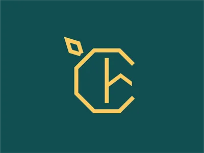 Unused Citrus Homes logo direction architect branding homes identity design logo design monogram monogram logo visual identity