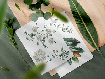 Watercolour floral illustrations brand branding bride creative creatives denoffoxes design designer engagement floral flower graphic design illustration illustrator invitations stationery