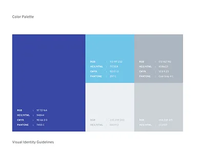 Color Palette for Branding brand guidelines brandbook branding clean color design graphic identity logo palette