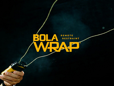 Bola Wrap branding color palette design graphic design illustrator logo photoshop product product design