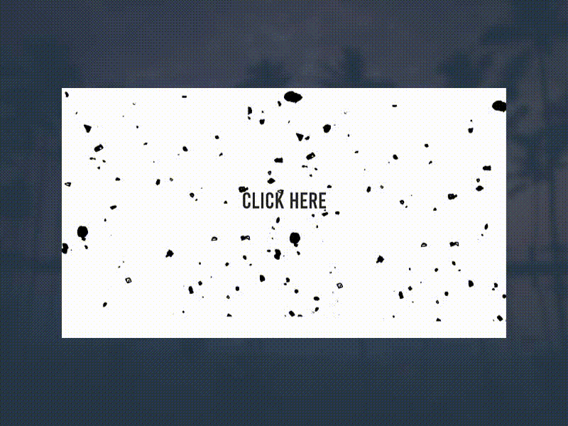 Register form animation by Pablo Fernando Caprio on Dribbble