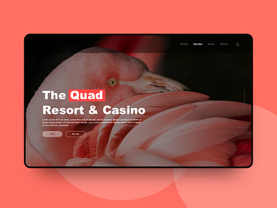 The Quad daily design illustration ui