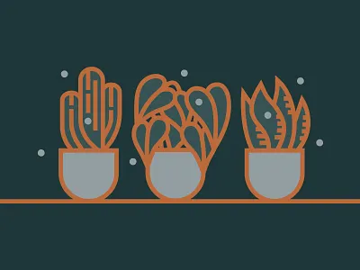 Houseplants cactus design gold house plant house plants illustration plant plant illustration teal