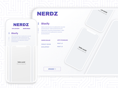 NERDZ.tech design landing page lp portfolio tech technology ui ui ux design