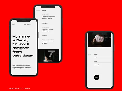 Personal portfolio #1 mobile design grid interaction interaction design interface minimalism mobile promo typography ui ux web web design website
