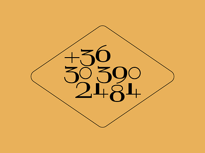 Phone number on cat tag cat coper number tag type typeface unique