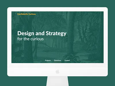 Confidently Curious agency consulting design illustraiton web design webflow
