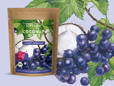 Blackcurrant cookies package design design food illustation package package design watercolor