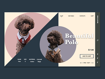 *Closing store for pets* design designing eccomerce pet store ui ux we design