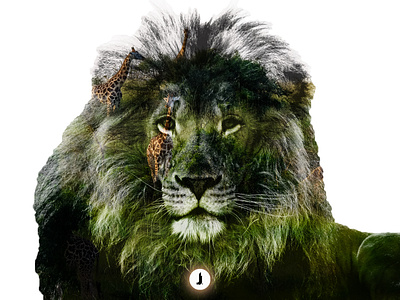 Double Exposure | Lion | Photography Project adobe adobe photoshop double exposure graphic design lion photo art photoshop