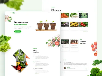 Sunprime Seeds Website agro clean landingpage seed seeds ui ux vegetables website