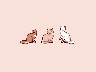 Three cats - thin, medium, thick animal animal character cat cat drawing cat kitten design flat design icon cat illustration kitten simple cat simple design vector