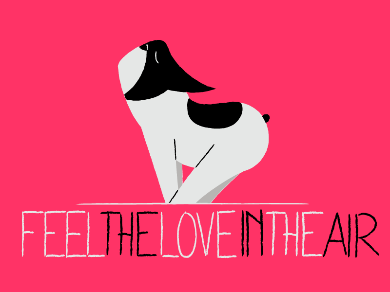 Spring adobe animate animation 2d cellanimation charachter design dog frame by frame french bulldog fun gif illustration loop love spring