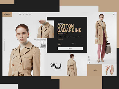 Burberry Website Design Concept branding burberry clothing brand creative design graphic desgin typogaphy ui web web design