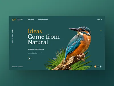 LW Demo Pilling Parallax agency banner creative freelancer personal portfolio slider theme