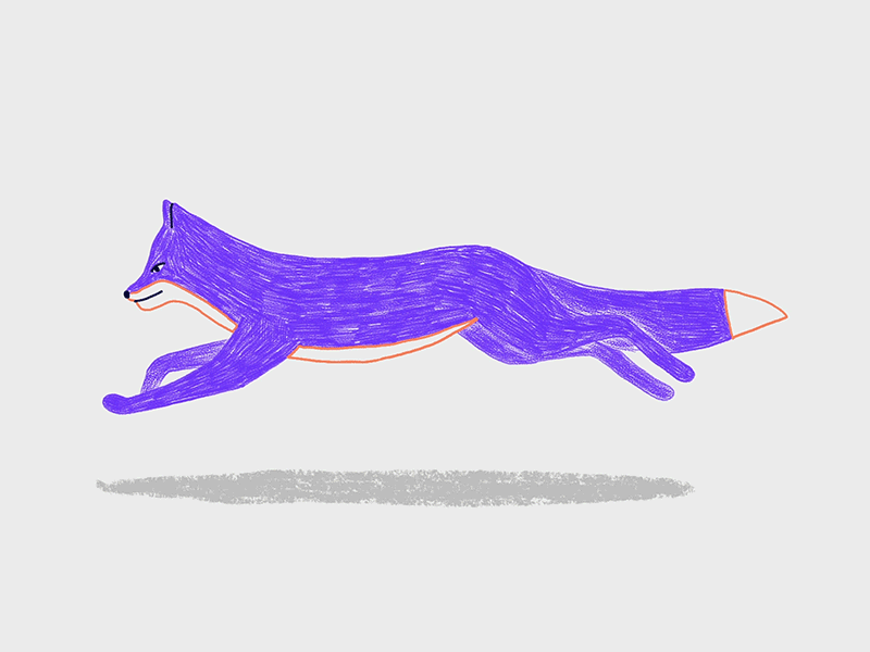 Fox Run Cycle 2danimation animation fox frame by frame gif illustration loop motion design run cycle