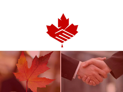 Maple leaf icon creative design graphicdesign icon identity logo logodesign logomark maple minimal modern