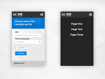 Scan scan scanning website