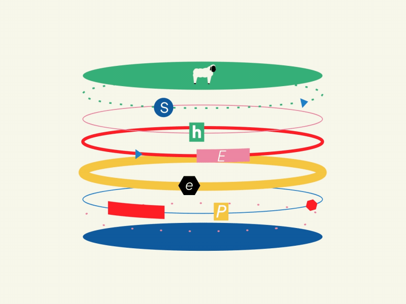 CTIA 5G Spectrum animation character color contrast design flat gif illo motion motion graphics sheep vector