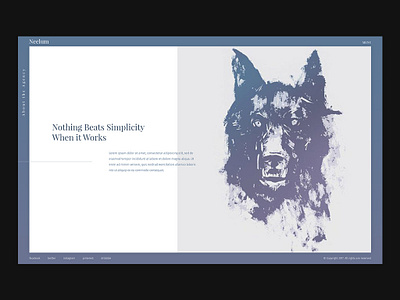 Neelum banner hero area hero banner hero design web design website design