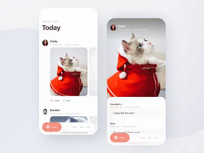 A community of pet owners app community love pet pet app red ui