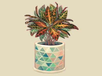 Croton Petra digital 2d graphic art illustration painting plant illustration