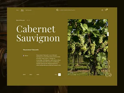 Wine - Best Of best best design brown desktop discover france germany grapes italy minimal ui ui web design visual white wine