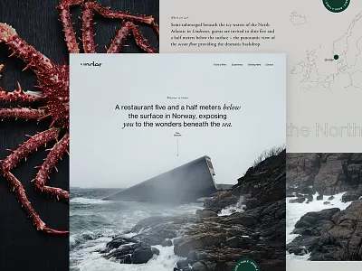 Under | Homepage Concept concept header homepage minimal ocean restaurant ui under ux web design webpage website website design