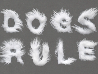 Dogs Rule fur