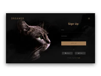 Vlog Website branding design sign in sign up page type typography ui ux web website