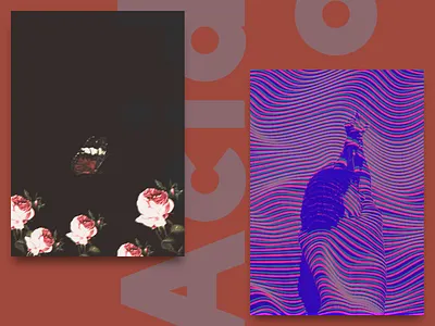 AcidNot! acid butterflies design designlove graphic art ladies not! poster a day poster art poster challenge trippy